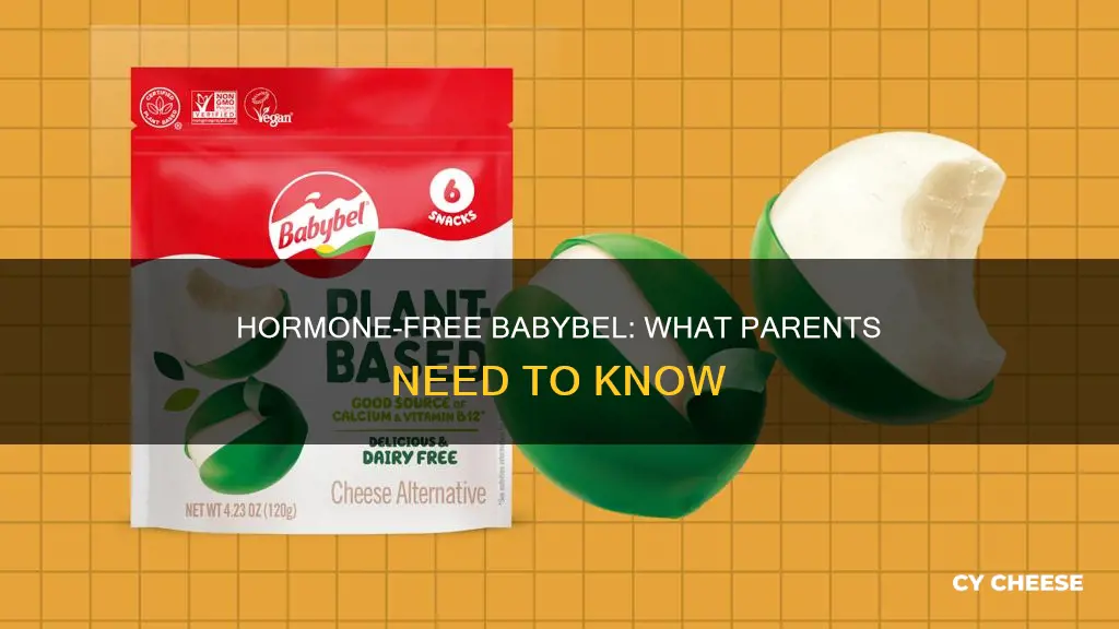 is babybel cheese hormone free