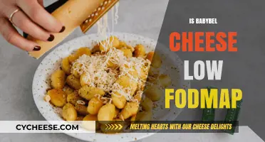 Is Babybel Cheese Low FODMAP? A Digestive-Friendly Snack Guide