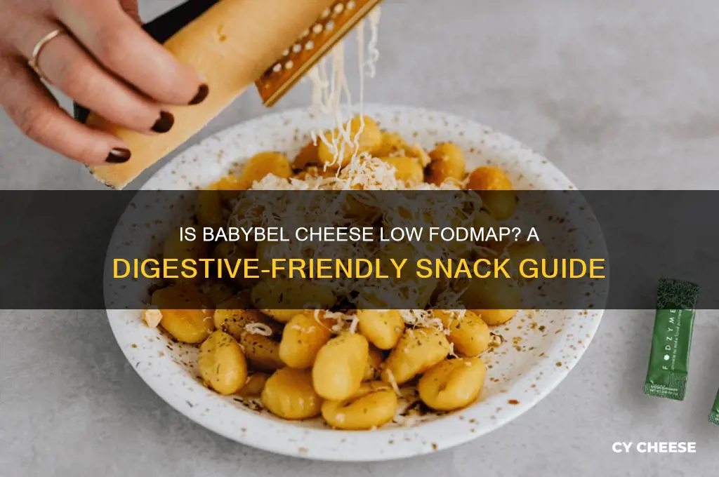 is babybel cheese low fodmap