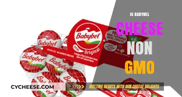 Is Babybel Cheese Non-GMO? Uncovering the Truth Behind the Label