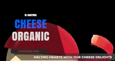 Is Babybel Cheese Organic? Uncovering the Truth Behind the Label
