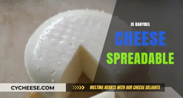 Can You Spread Babybel Cheese? A Creamy Texture Exploration