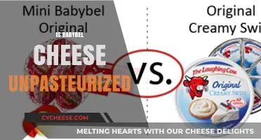 Is Babybel Cheese Unpasteurized? The Truth About Your Favorite Snack