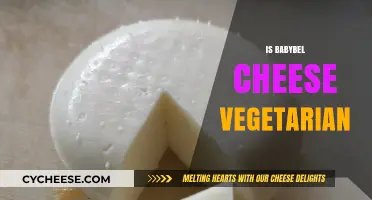 Is Babybel Cheese Vegetarian? Uncovering the Truth for Veggie Lovers