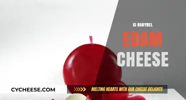 Is Babybel Edam Cheese? Unraveling the Mystery Behind the Iconic Snack
