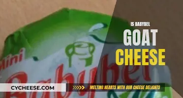 Babybel's Secret: Is It Goat Cheese?