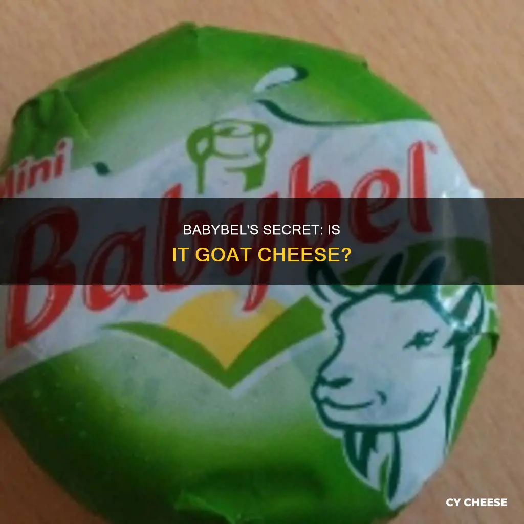 is babybel goat cheese