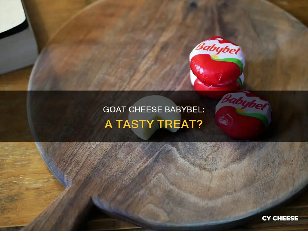 is babybel goat cheese