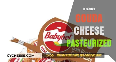 Is Babybel Gouda Cheese Pasteurized? Facts and Safety Insights