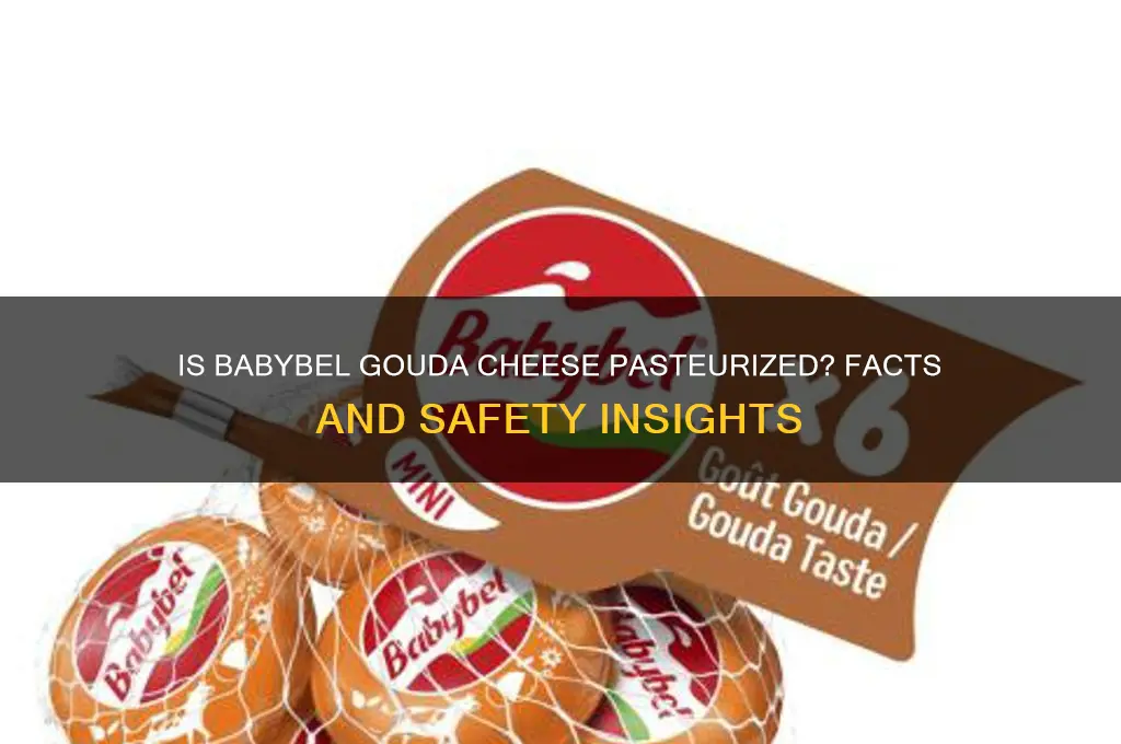 is babybel gouda cheese pasteurized