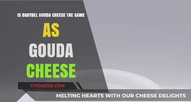 Babybel vs. Traditional Gouda: Are They Really the Same Cheese?