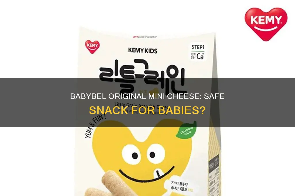 is babybel original mini edam cheese good for baby