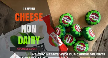 Is Babybel Cheese Non-Dairy? Unraveling the Ingredients and Facts