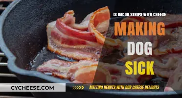 Can Bacon Strips with Cheese Harm Your Dog's Health?