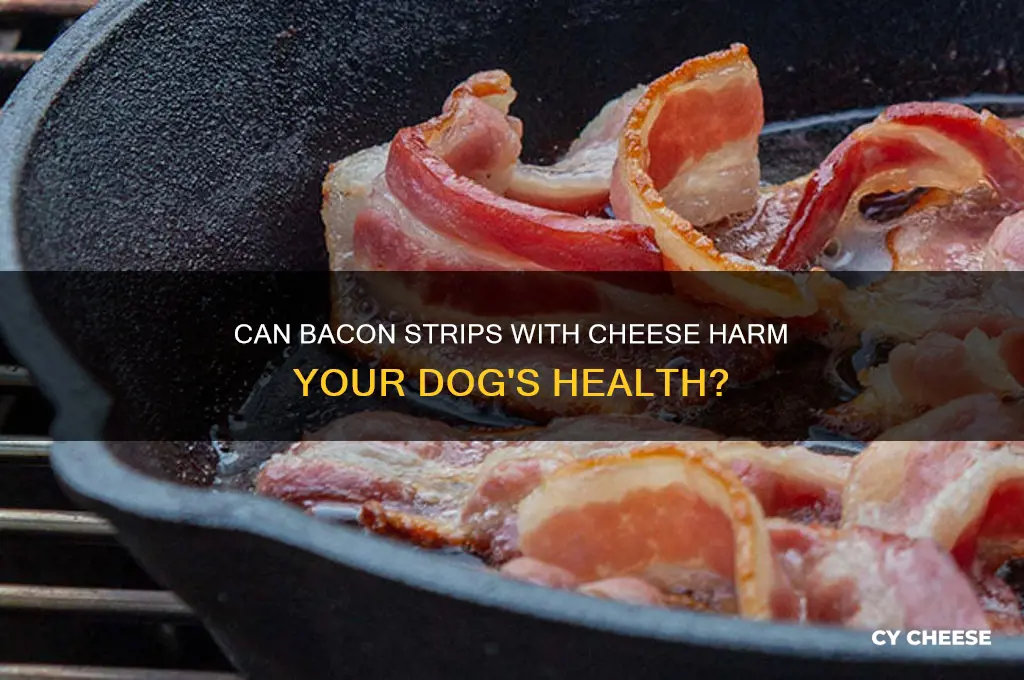 is bacon strips with cheese making dog sick