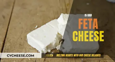 Feta Cheese Gone Bad: What You Need to Know