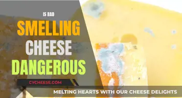 Stinky Cheese: Is It Safe to Eat?