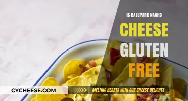 Gluten-Free Ballpark Nachos: Are They Safe to Eat?