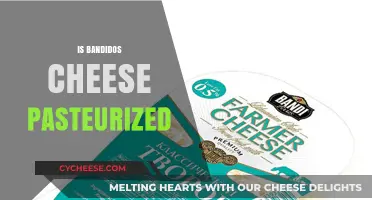 Is Bandidos Cheese Pasteurized? Exploring Safety and Flavor in Every Bite
