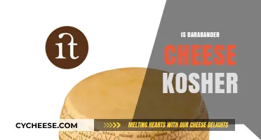 Is Barabander Cheese Kosher? Exploring Its Ingredients and Certification