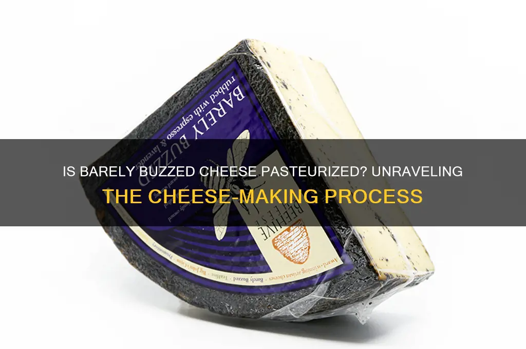 is barelybuzzed cheese pasturized