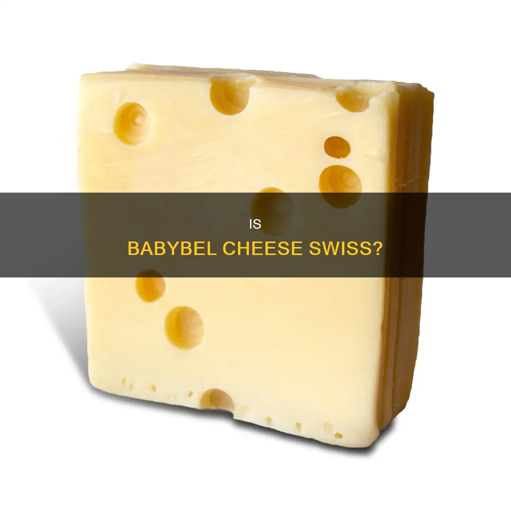 is baybebell cheese swiss