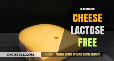 Beemster Cheese: Lactose-Free Delicacy?