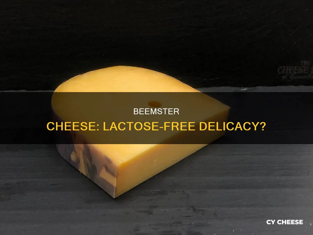 is beemster cheese lactose free