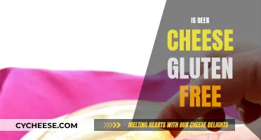 Gluten-Free Beer Cheese: Is It Possible?