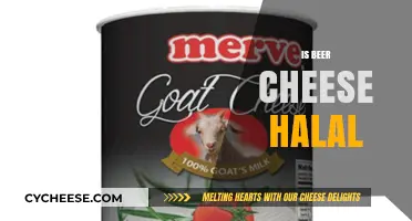 Is Beer Cheese Halal? Exploring Ingredients and Religious Dietary Laws