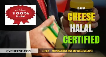 Is Bega Cheese Halal? Certification and Consumer Concerns Explained