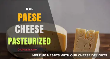 Is Bel Paese Cheese Pasteurized? A Complete Guide to Its Production