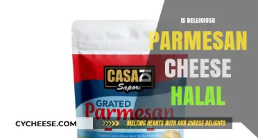 Is Belgioioso Parmesan Halal? Cheese Conundrum Solved