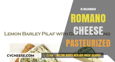 Is Belgioioso Romano Cheese Pasteurized? A Comprehensive Guide
