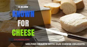 Belgium's Cheese Legacy: Uncovering Its Dairy Delights and Cultural Impact