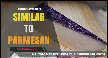 Bellavitano Cheese: Parmesan's Cousin?
