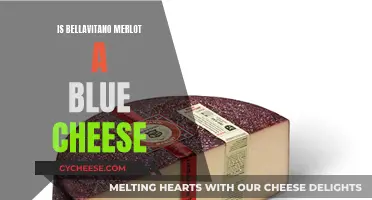Bellavitano Merlot: A Blue Cheese Wonder?
