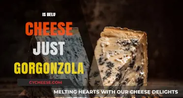 Belu Cheese vs. Gorgonzola: Unraveling the Blue Cheese Mystery