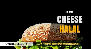 Is Berg Cheese Halal? Exploring Ingredients and Certification for Muslims