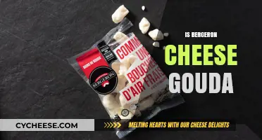 Is Bergeron Cheese Gouda? Unraveling the French-Dutch Cheese Mystery
