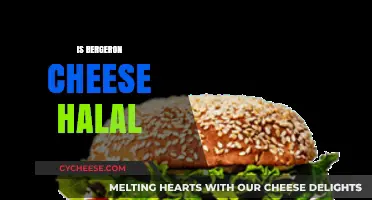 Is Bergeron Cheese Halal? Exploring Ingredients and Certification Details