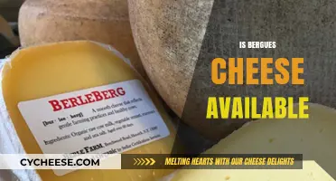 Where to Find Bergues Cheese: Availability and Purchasing Options