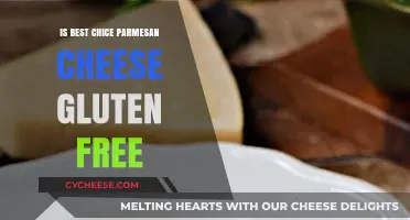 Gluten-Free Grated Parmesan: Is it the Best Choice?