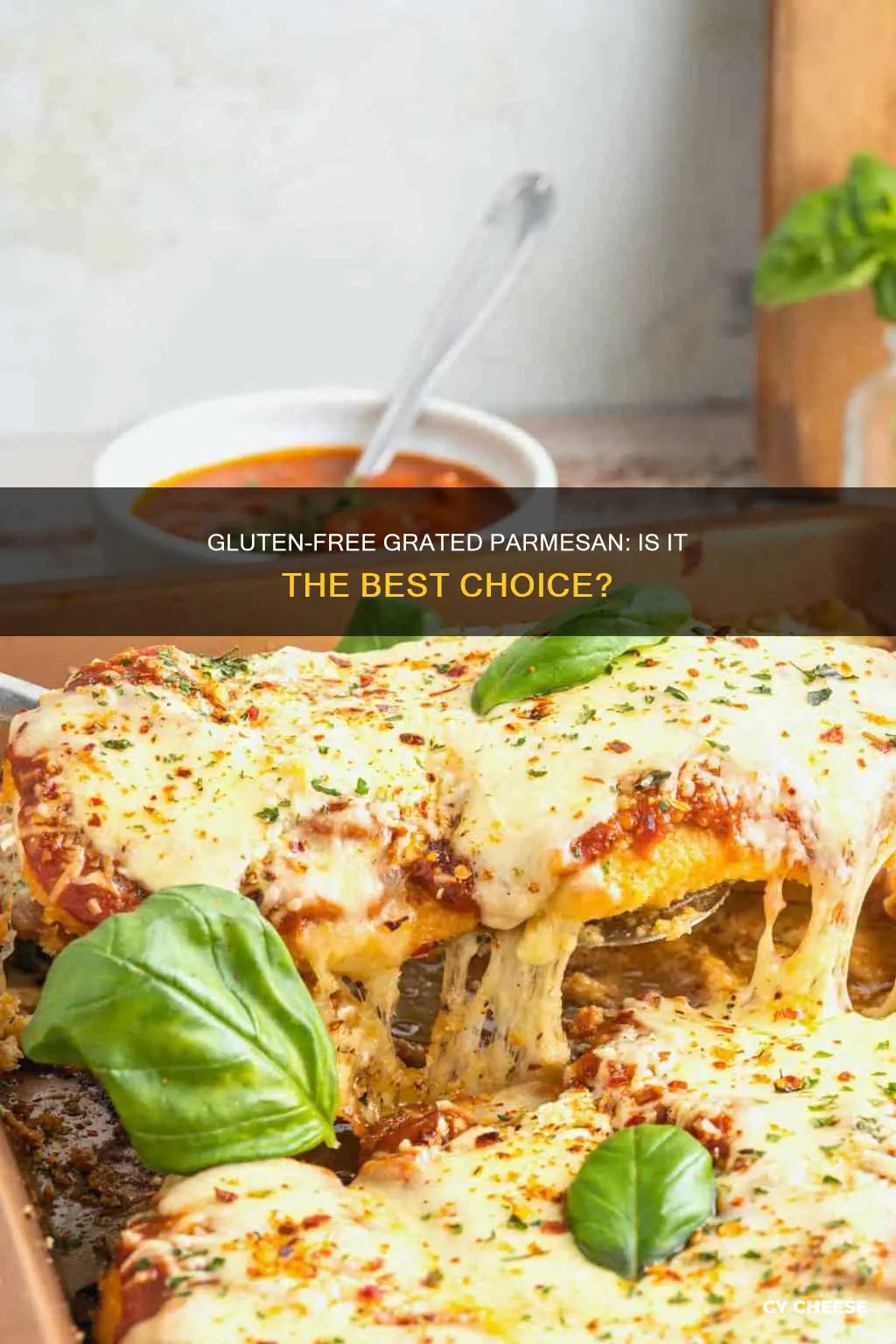 is best chice parmesan cheese gluten free