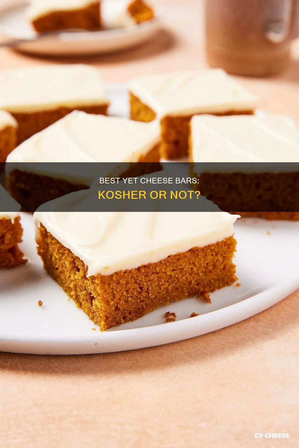 is best yet cheese bars are kosher