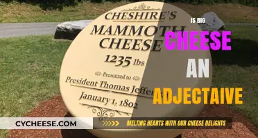 Is 'Big Cheese' an Adjective? Unraveling the Linguistic Mystery