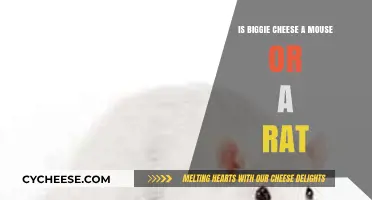Biggie Cheese: Mouse or Rat? Unraveling the Mystery Behind the Icon