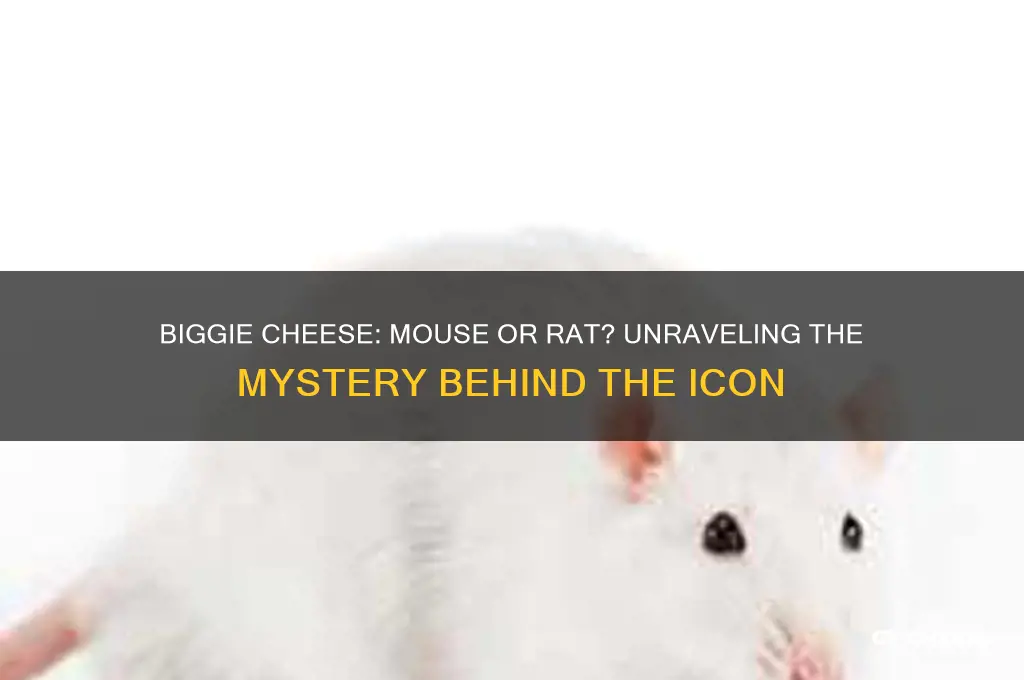 is biggie cheese a mouse or a rat