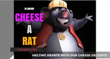 Is Biggie Cheese a Rat? Uncovering the Truth Behind the Rumors