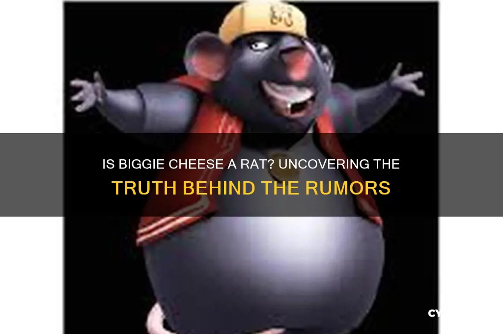 is biggie cheese a rat